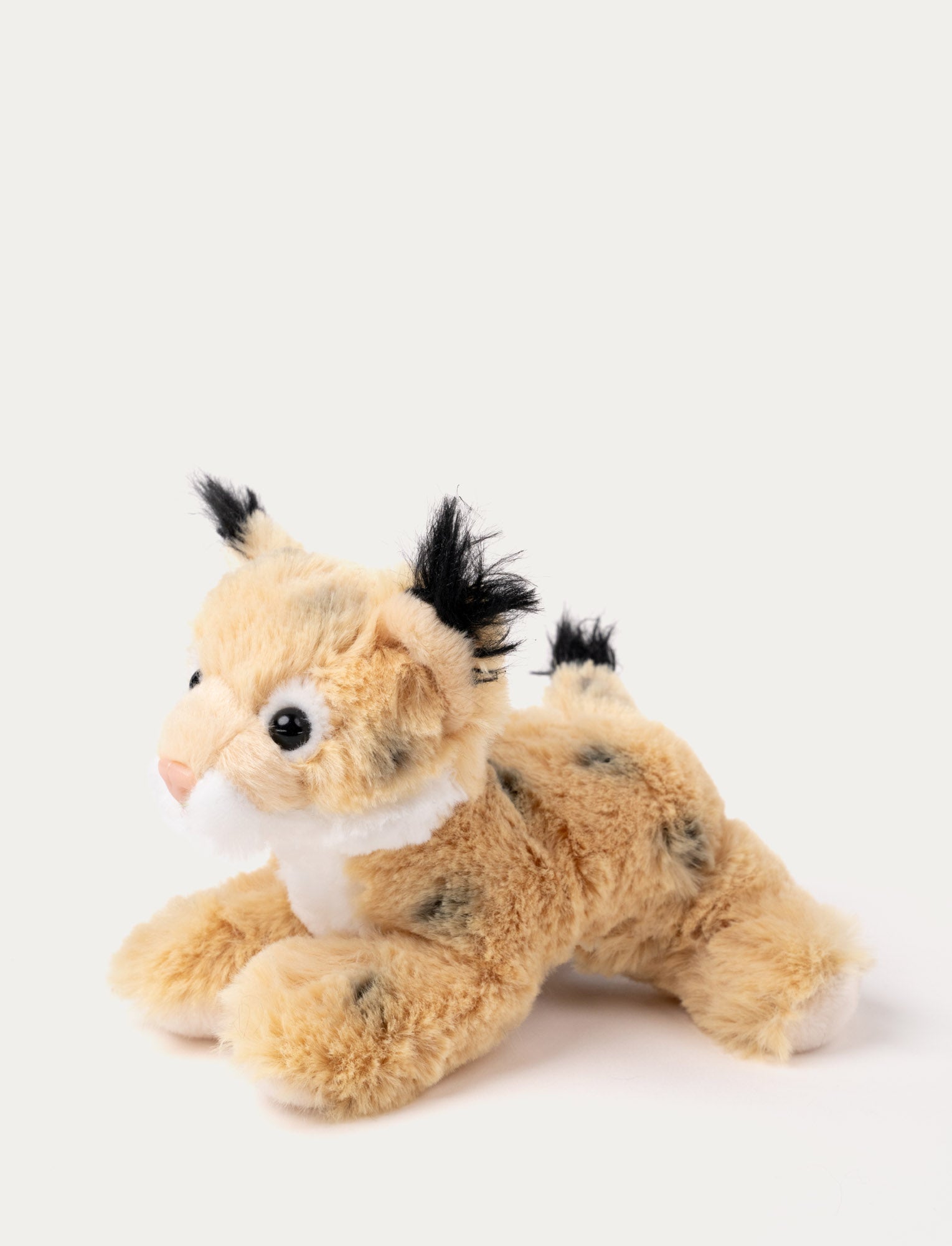  Image of Forest Animals