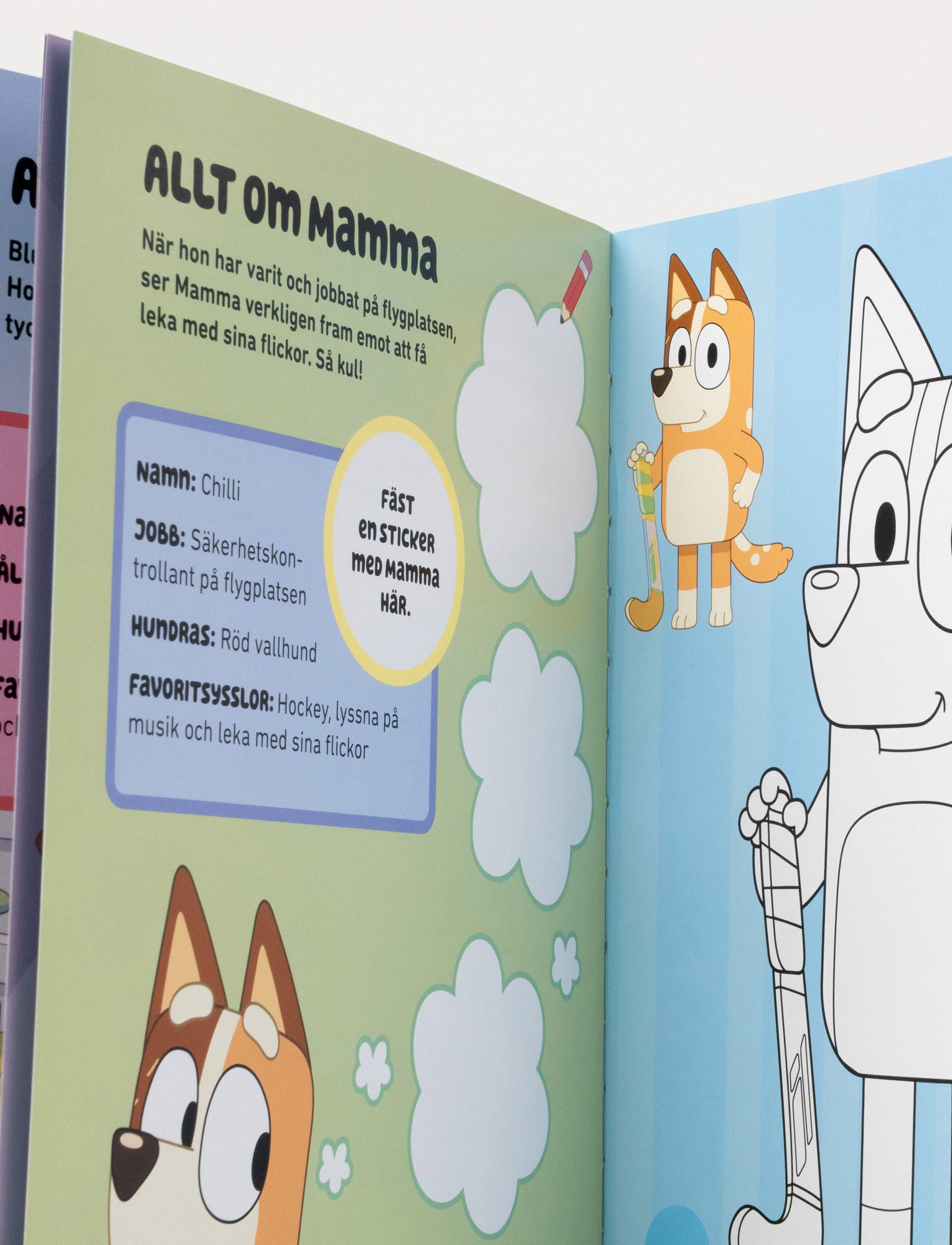  Image of Bluey : Träffa Bluey!