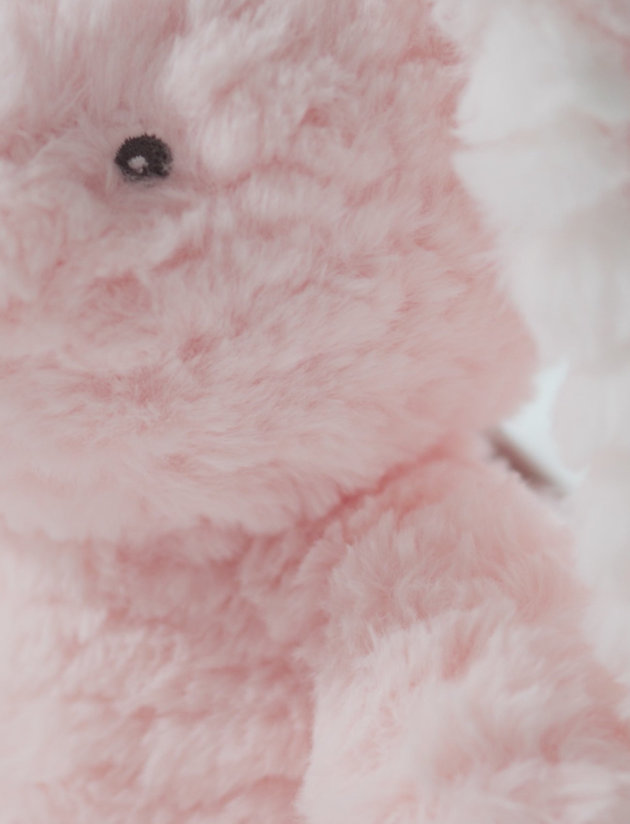  Image of files/preview_images/697c1c4f5f534a2288b86b315c09947d.thumbnail.0000000000.jpg