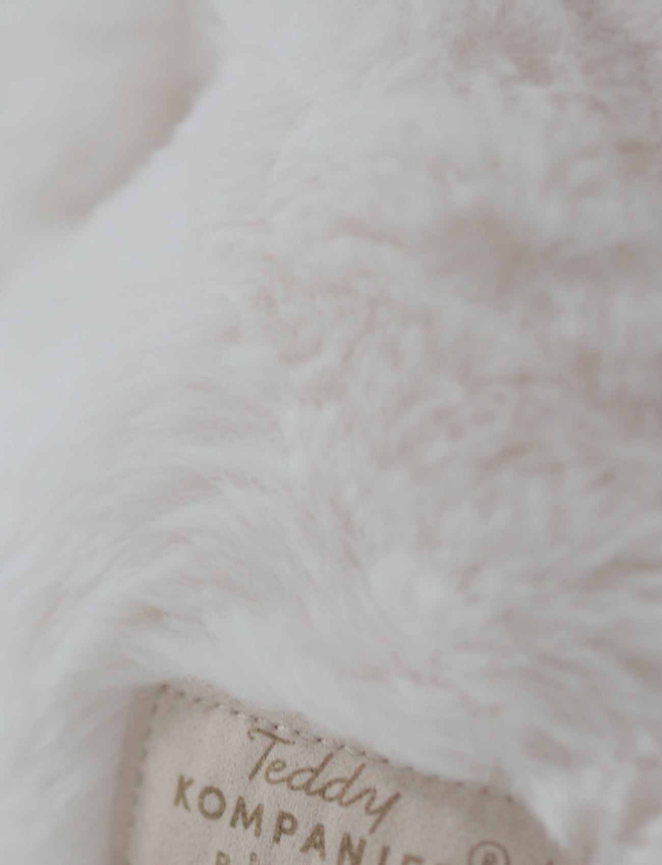  Image of files/preview_images/74a7d55415e14205912176c694b29b9a.thumbnail.0000000000.jpg