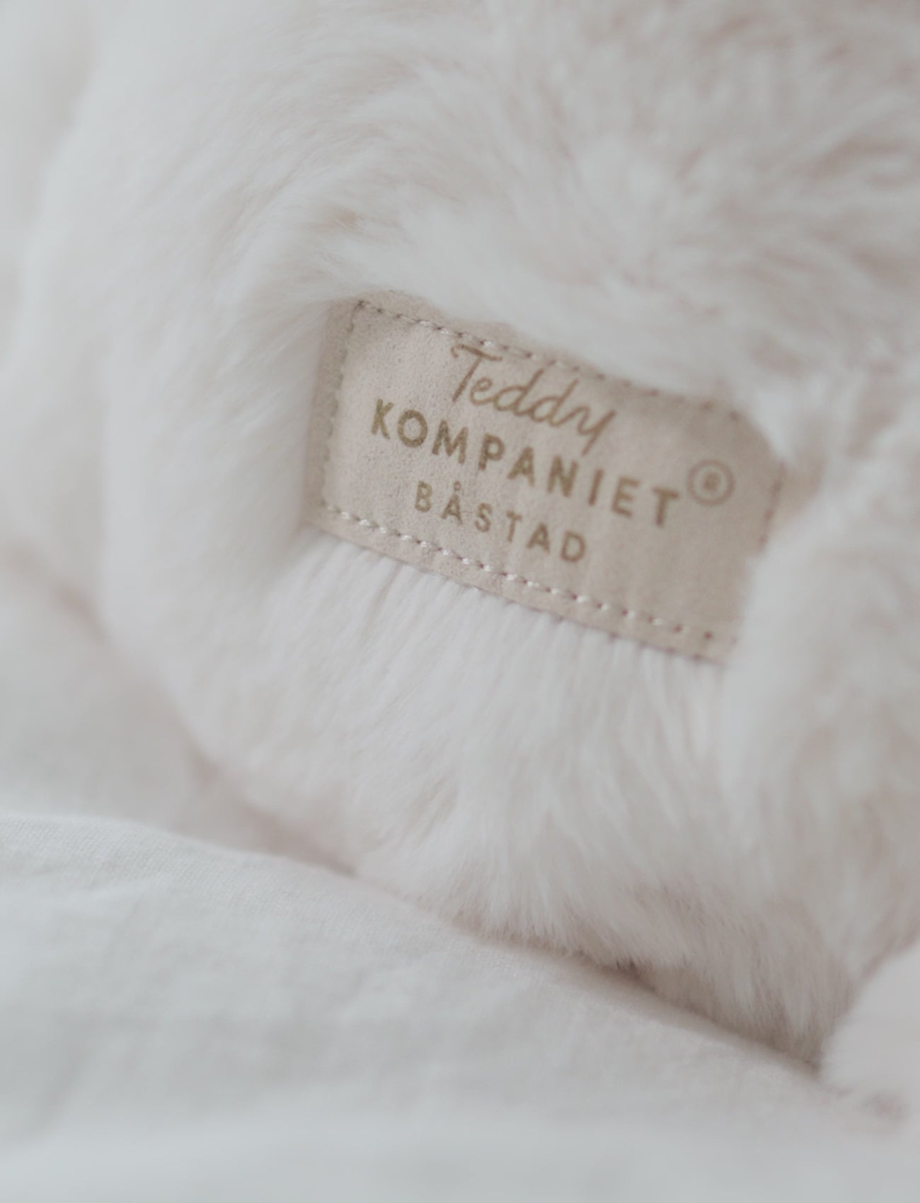  Image of files/preview_images/7c75198b5ea842a5bcfd046d18c8e885.thumbnail.0000000000.jpg