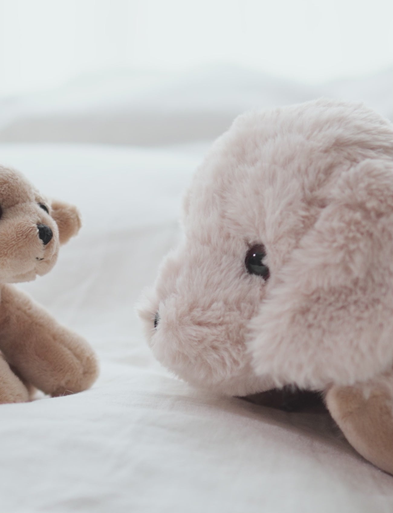  Image of files/preview_images/94f58e7eca774c4487eb890abf6c048a.thumbnail.0000000000.jpg