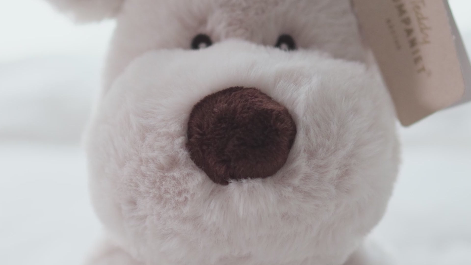  Image of files/preview_images/ccc3392f2c49454da3b295208f5b4dd6.thumbnail.0000000000.jpg